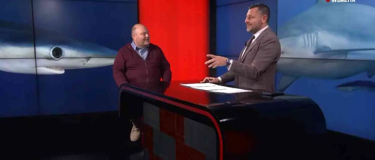 Il professore che studia gli squali per capire come sta il mare:\u00A0«Preoccupano soprattutto le microplastiche»\n