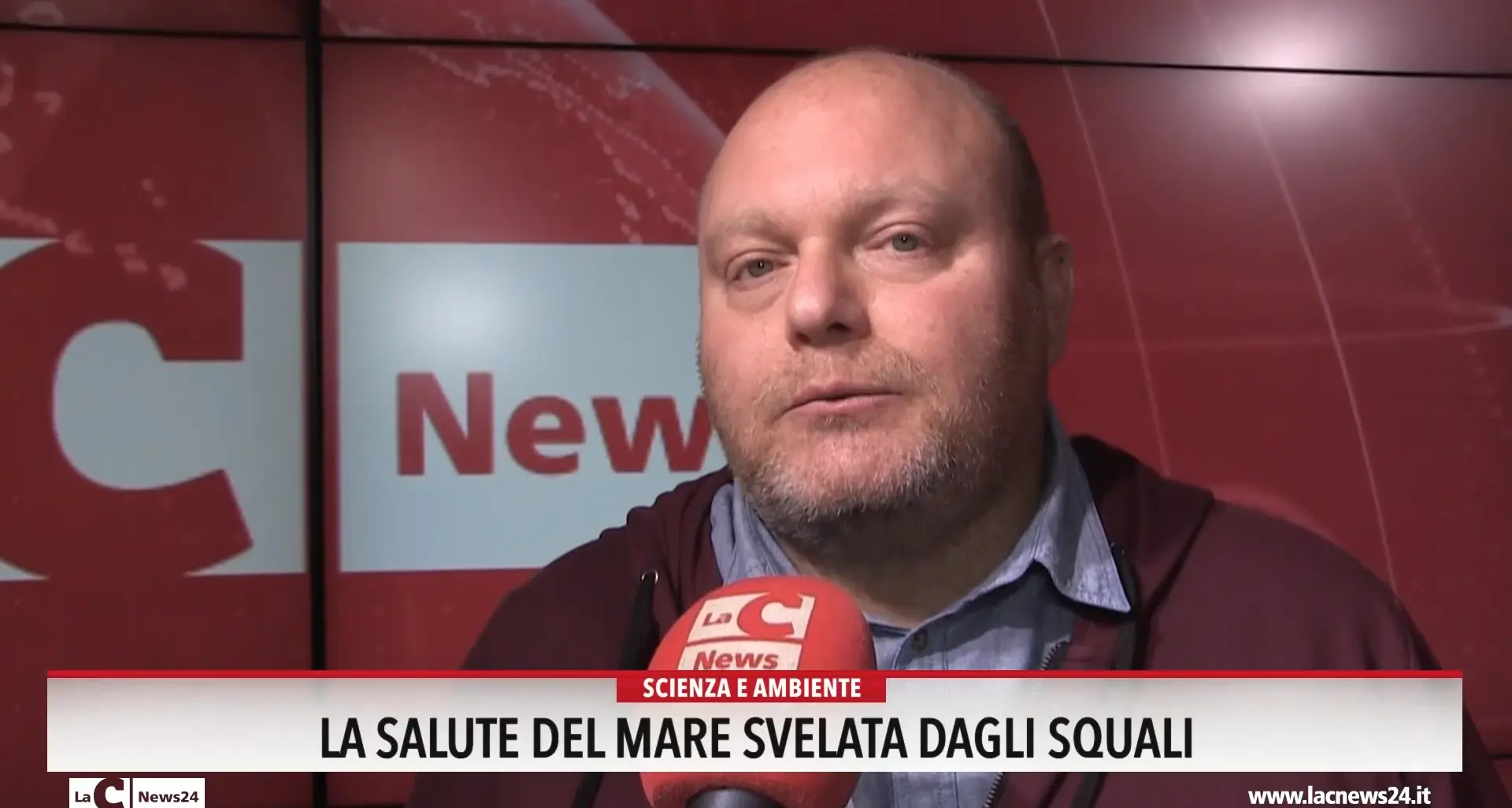 La salute del mare svelata dagli squali