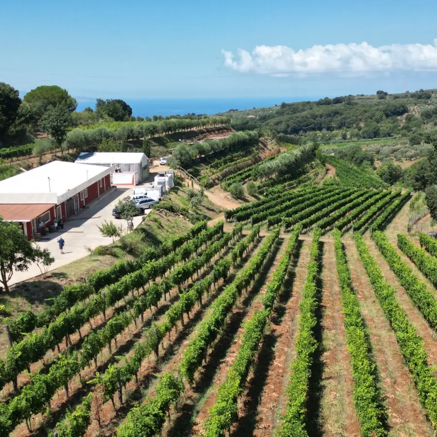 «Con i dazi Usa a rischio in Calabria\u00A0le piccole imprese. Necessario diversificare i mercati e puntare sui nostri territori»\n