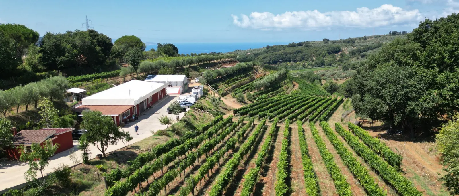 «Con i dazi Usa a rischio in Calabria\u00A0le piccole imprese. Necessario diversificare i mercati e puntare sui nostri territori»\n