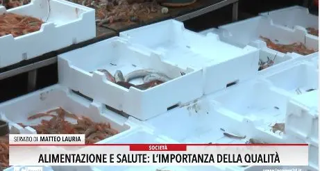 Alimentazione e salute: l'importanza della qualità