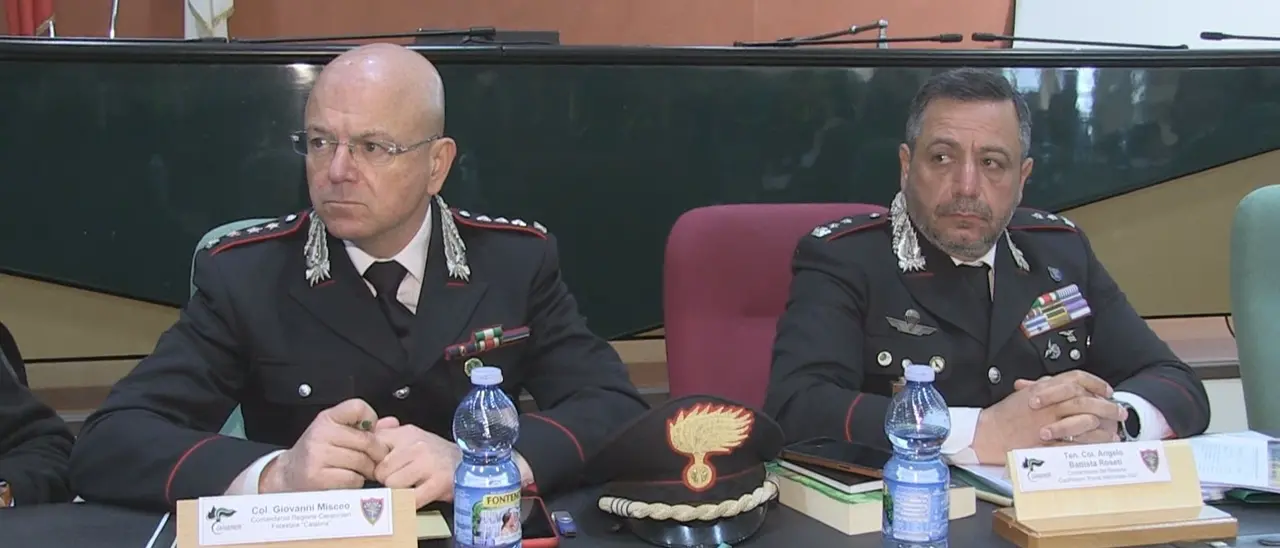 Celebrata a Rende\u00A0la Giornata internazionale delle foreste. In Calabria più consapevolezza sociale nella tutela dei boschi\n