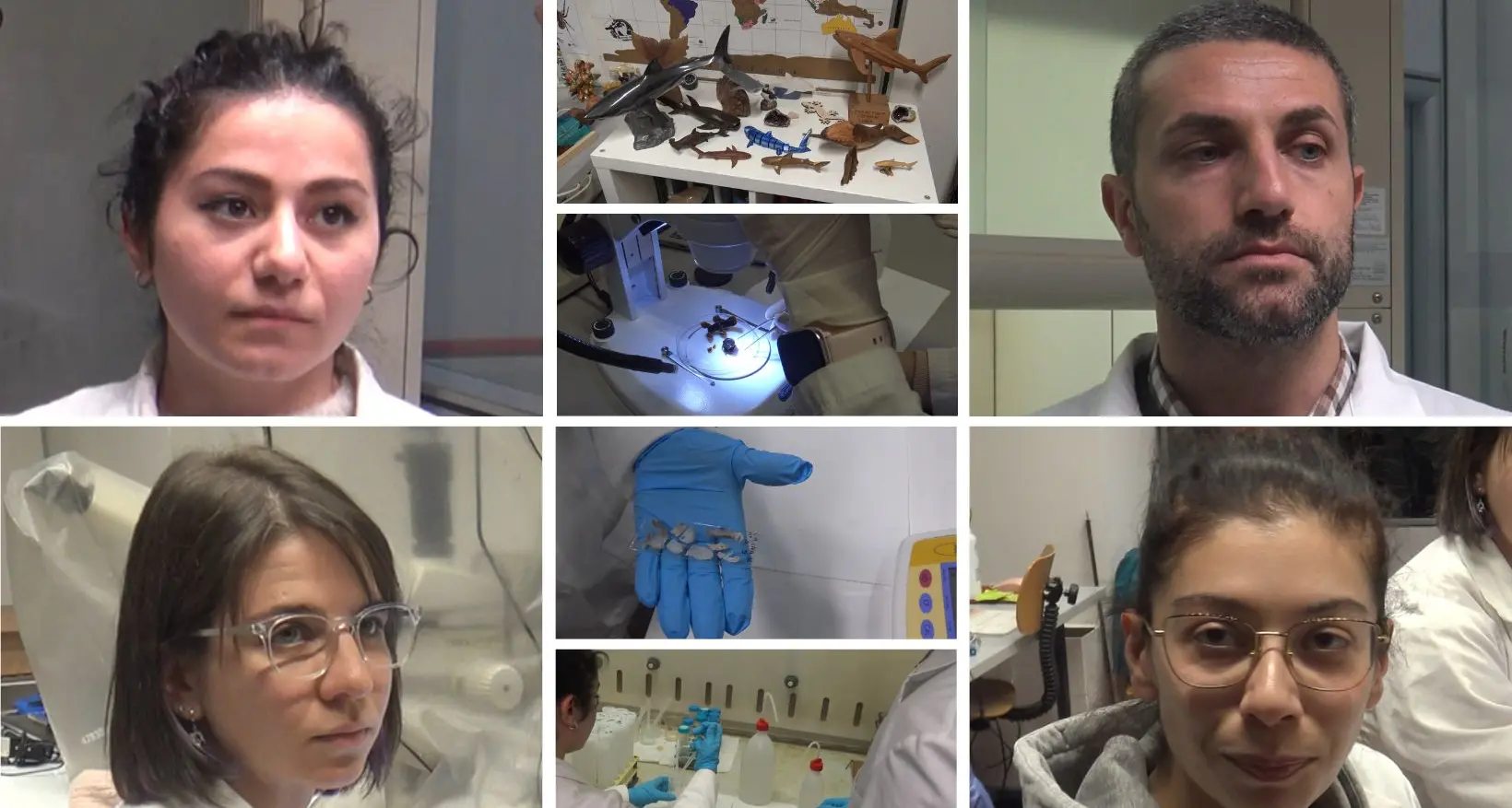 All’Unical tra gli studiosi\u00A0degli squali: «Cerchiamo microplastiche e metalli pesanti, i primi dati sono preoccupanti»\n