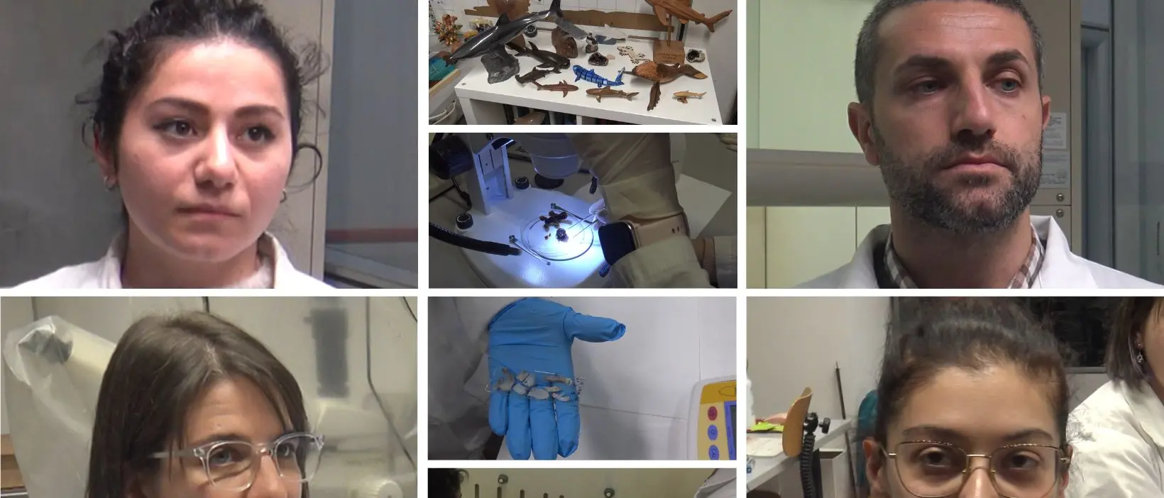 All’Unical tra gli studiosi\u00A0degli squali: «Cerchiamo microplastiche e metalli pesanti, i primi dati sono preoccupanti»\n