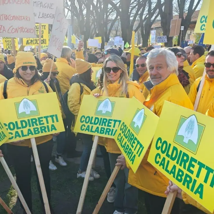 Guerra dei dazi, Coldiretti e filiera Nfu: «Misure ritorsive che colpiscono gli agricoltori»