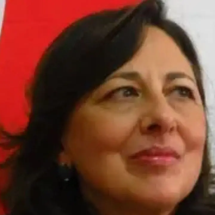 Lamezia, tentato furto nella sede della candidata sindaco del centrosinistra Doris Lo Moro\n