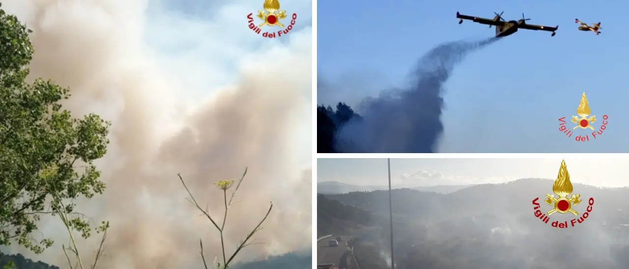 Incendio boschivo a Falerna, vigili del fuoco all’opera per evitare che le fiamme raggiungano il paese: in azione\u00A0anche 2 Canadair\n