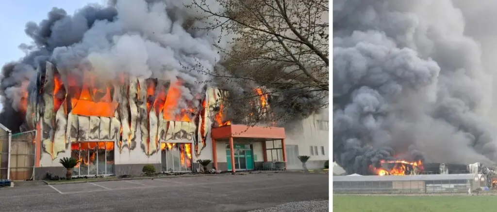 San Marco Argentano, un incendio distrugge\u00A0l’azienda Agrizoogarden: danni ingenti\n