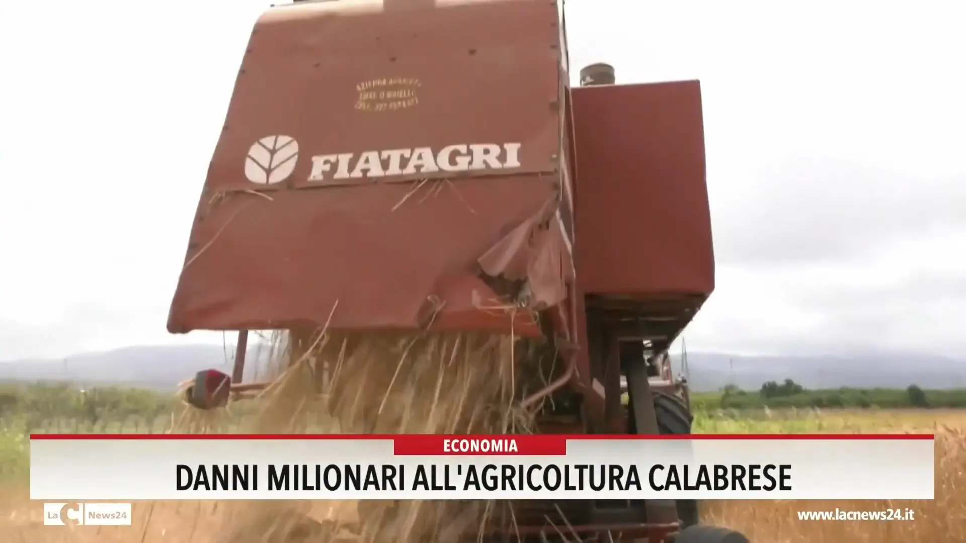 Danni milionari all'agricoltura calabrese