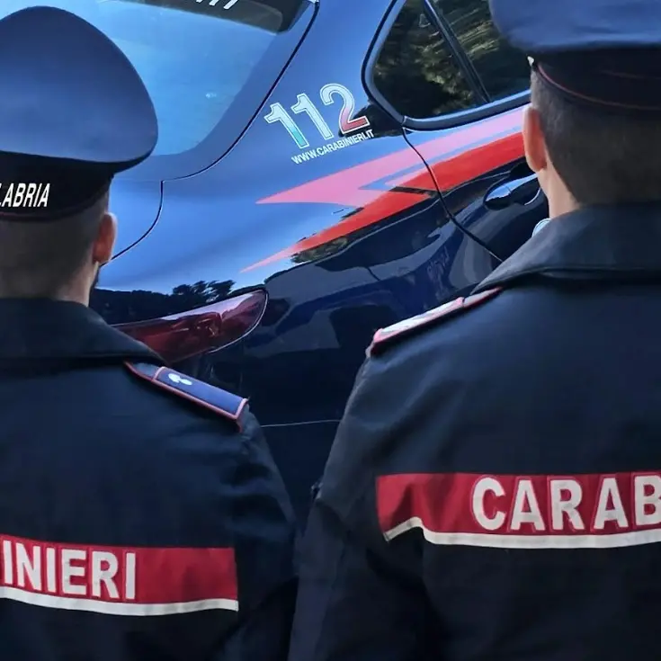 Paga con il pos e poi annulla l’operazione truffando un vivaio di Taurianova: arrestato imprenditore\n