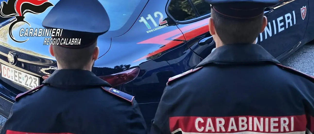 Paga con il pos e poi annulla l’operazione truffando un vivaio di Taurianova: arrestato imprenditore\n