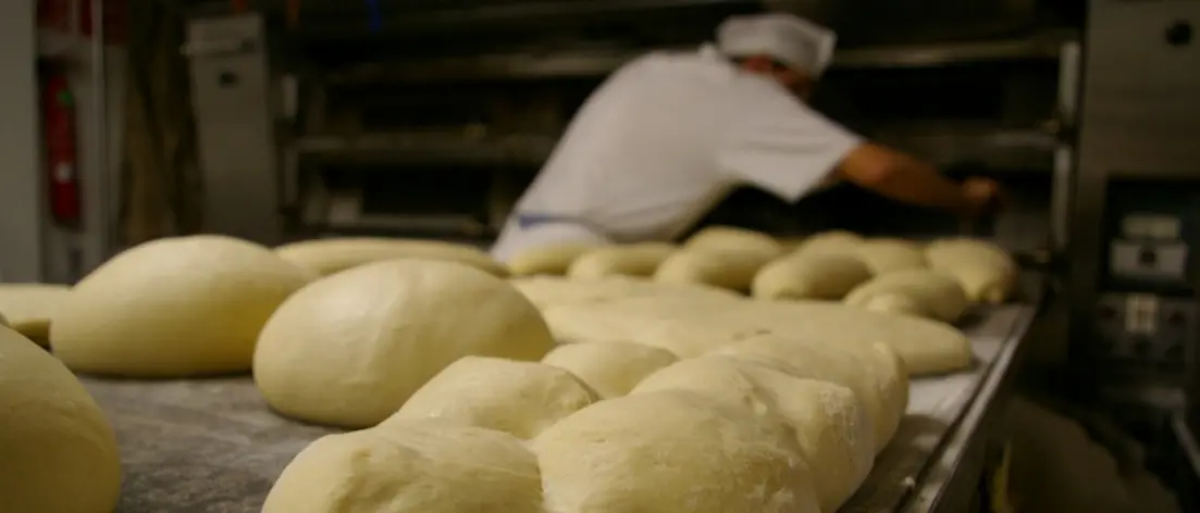 Controlli nei panifici e bar, a Reggio Calabria multe e due attività sospese per l’impiego di lavoratori in nero\n