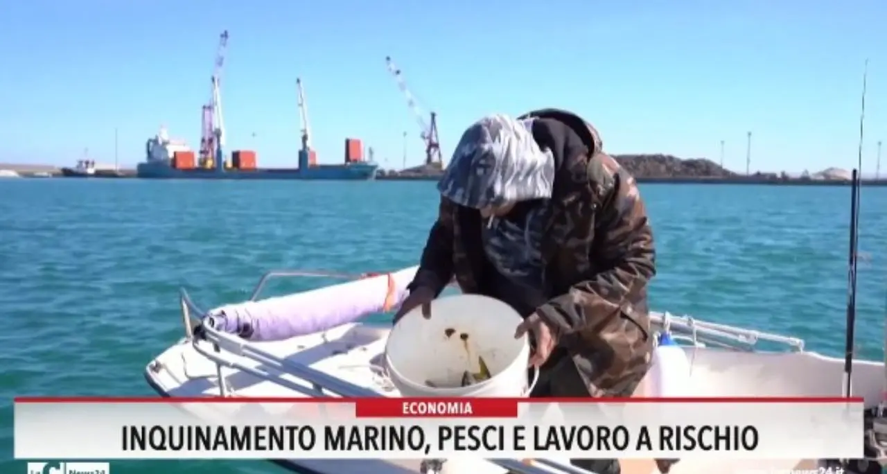 Inquinamento marino: pesci e lavoro a rischio