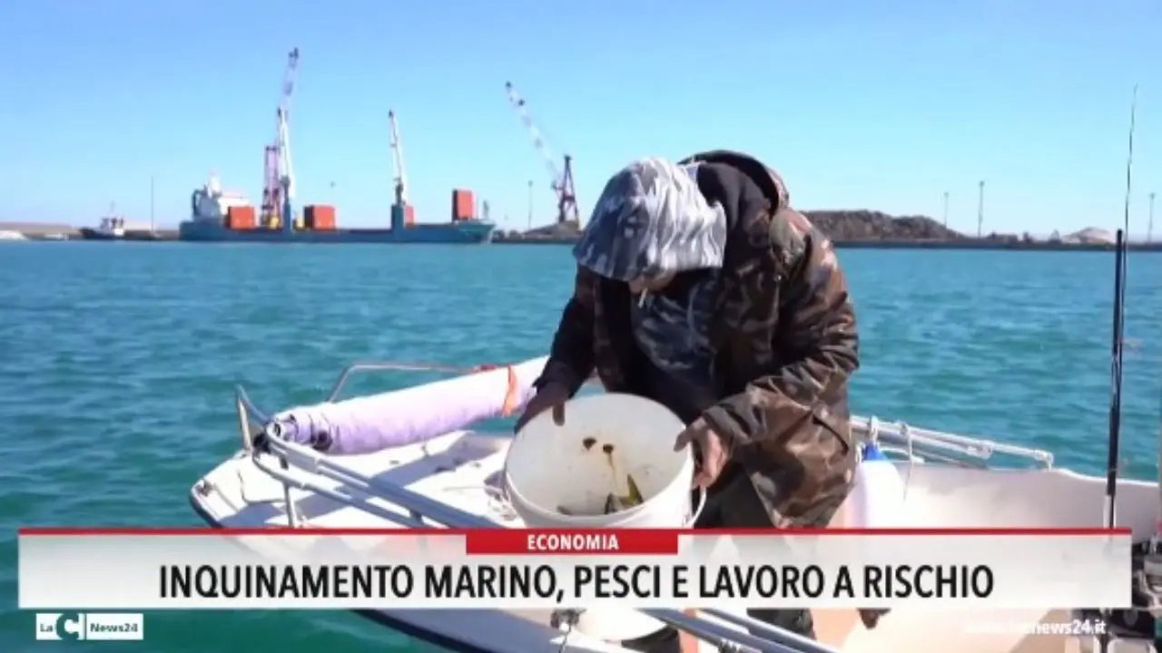 Inquinamento marino: pesci e lavoro a rischio