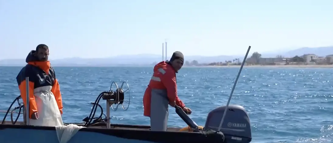 «Via libera alla pesca della sardella»: la\u00A0richiesta\u00A0della marineria di Schiavonea per uscire dalla crisi\u00A0\n