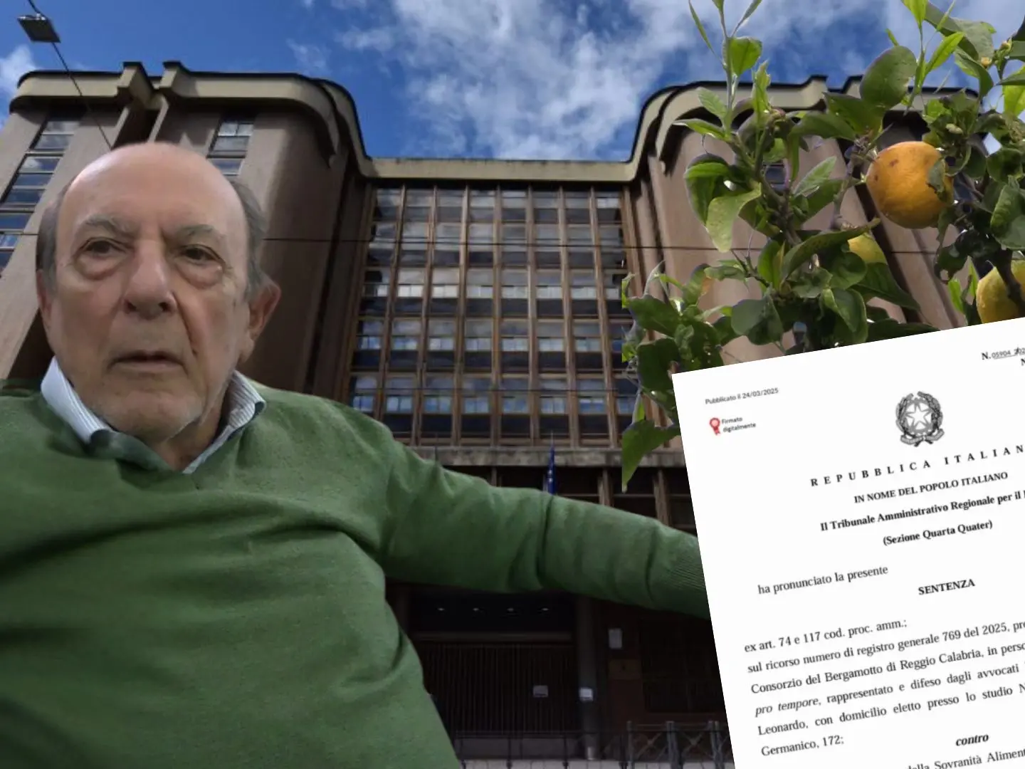 Ezio Pizzi e il caso Bergamotto di Reggio Calabria: la ragione del Tar, i numeri della filiera e una guerra che ha diviso potere e territorio