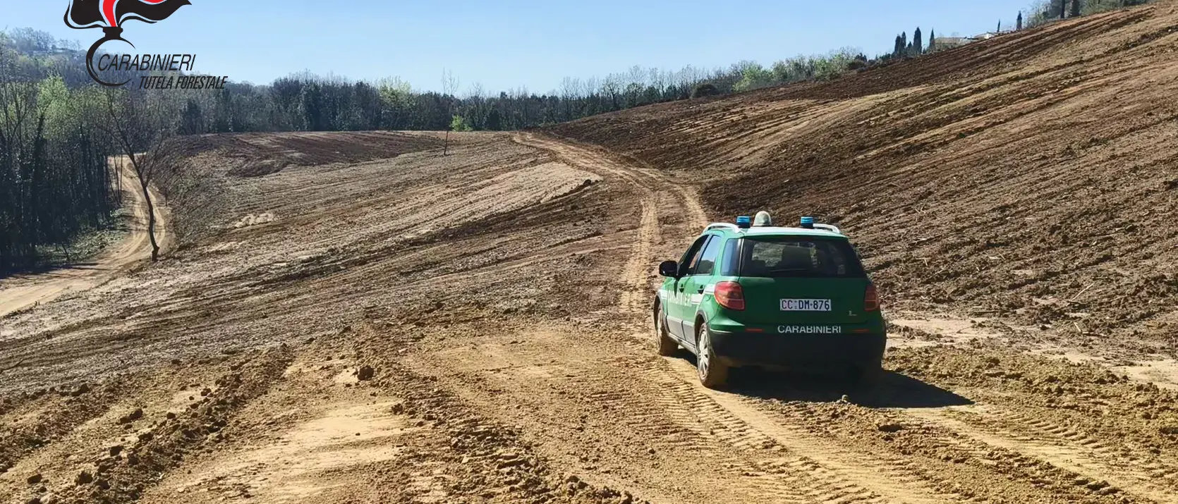 Rende, sequestrata un’area di 10 ettari disboscata abusivamente: denunciate quattro persone\n