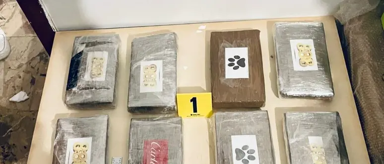 Breaking bad alla calabrese: ad Ardore una raffineria per produrre cocaina con la ricetta dei chimici colombiani\n