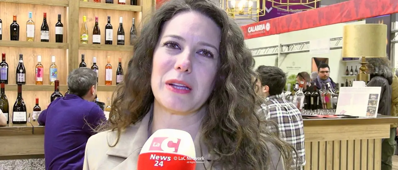 Vinitaly, Sberna: «Il Parlamento Europeo rinnova l’impegno a supporto del settore vitivinicolo»\n