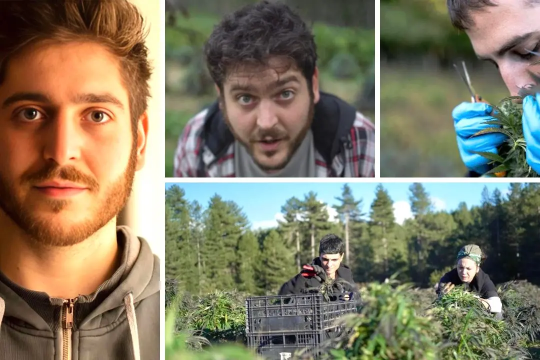 Il giovane imprenditore Mattia Cusani, nei riquadri giovani al lavoro nell\\'azienda Jurefarm