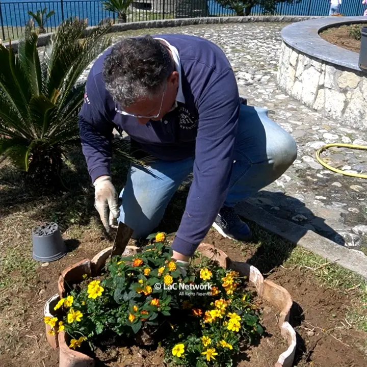 “In-Fiori-AMO”, Belvedere Marittimo si colora di natura per celebrare la primavera\n
