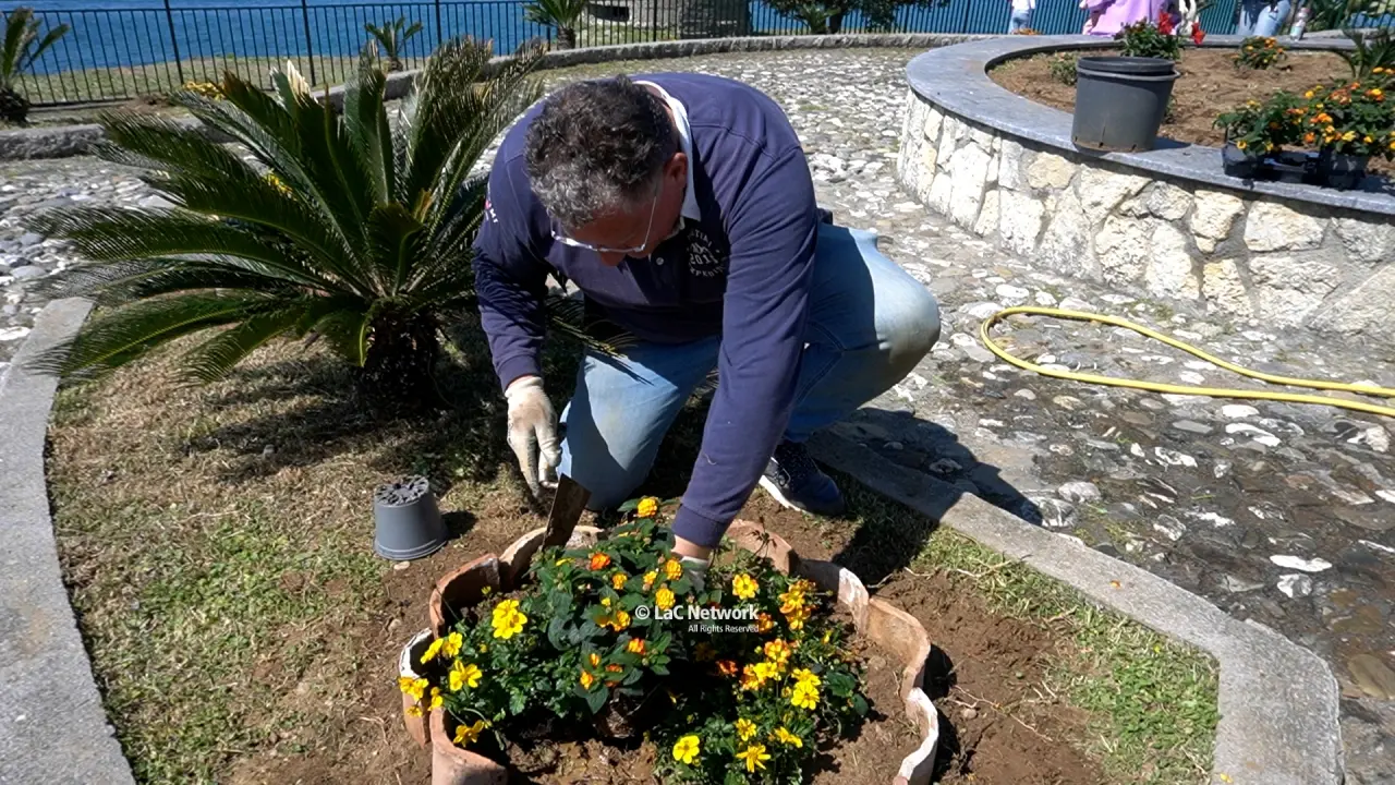 “In-Fiori-AMO”, Belvedere Marittimo si colora di natura per celebrare la primavera\n