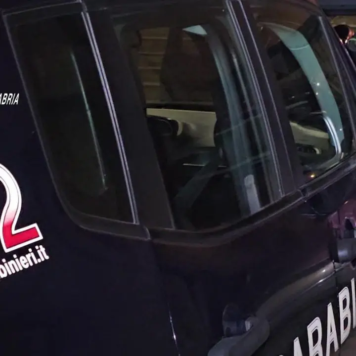 ’Ndrangheta, l’ex assessore regionale Tripodi ai domiciliari nel blitz contro il clan Alvaro. Indagati due ex consiglieri regionali