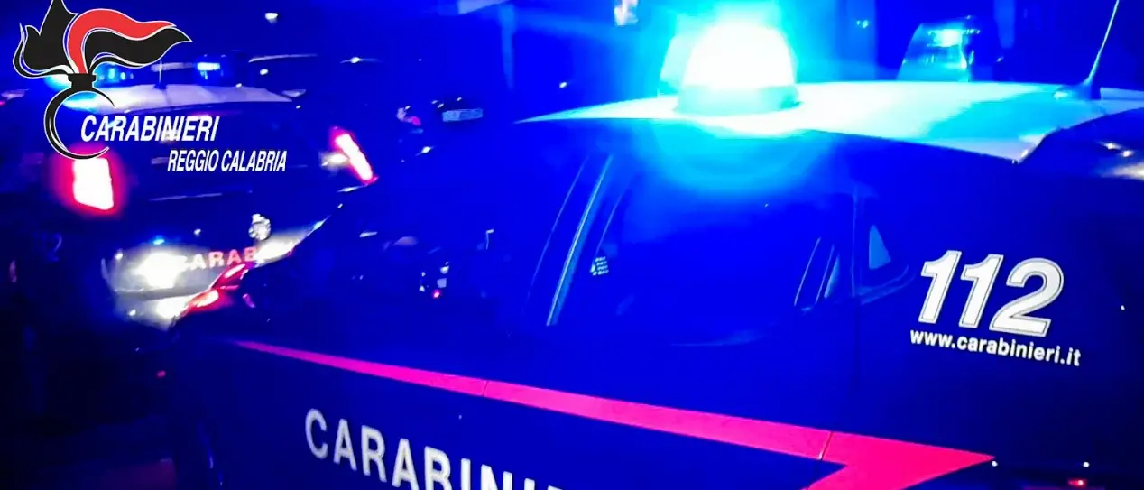 Nascondeva nel garage dell’azienda agricola pistole e cartucce: un arresto a Siderno\n