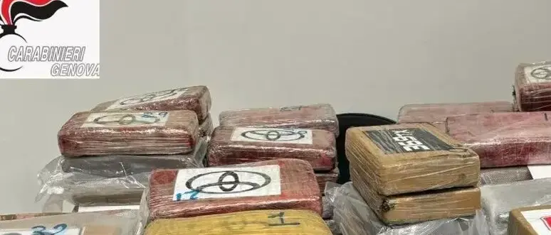 Auto con 145 chili di cocaina destinata alla ’ndrangheta, arrestato un portuale di Genova\n
