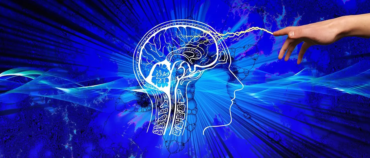 La luce per studiare\u00A0il cervello: un’innovativa tecnica sviluppata anche con il contributo dell’Umg di Catanzaro\n