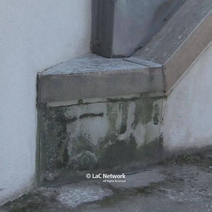 Rende, il muschio sul muro di una chiesa alimenta la suggestione dei fedeli che “vedono” il volto di Gesù\n