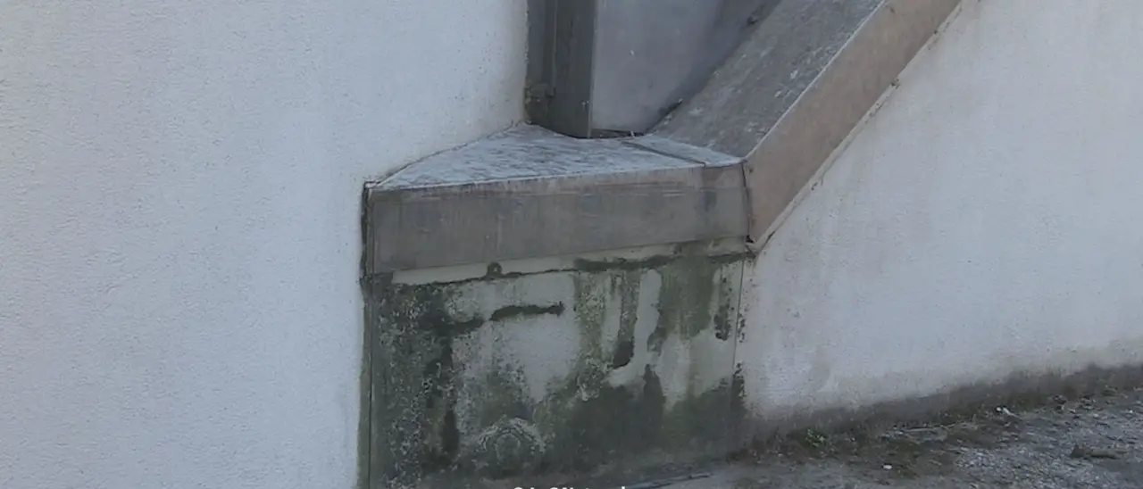 Rende, il muschio sul muro di una chiesa alimenta la suggestione dei fedeli che “vedono” il volto di Gesù\n