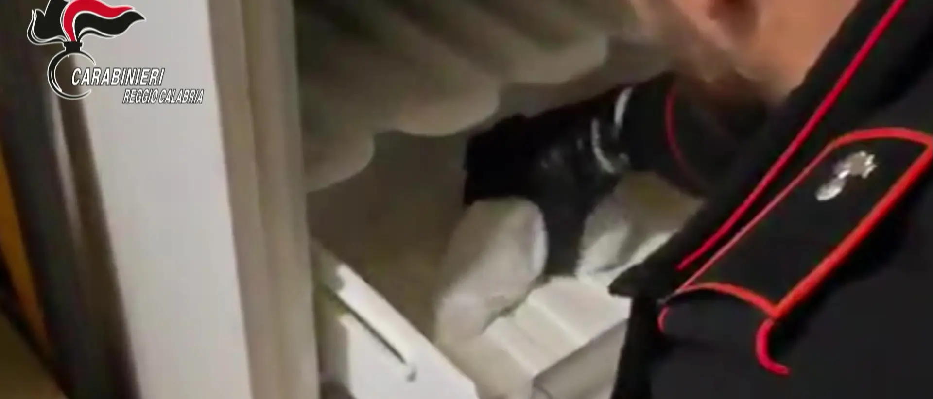 Una pistola con matricola abrasa e munizioni nascoste dentro un freezer: arrestato cacciatore nel Reggino