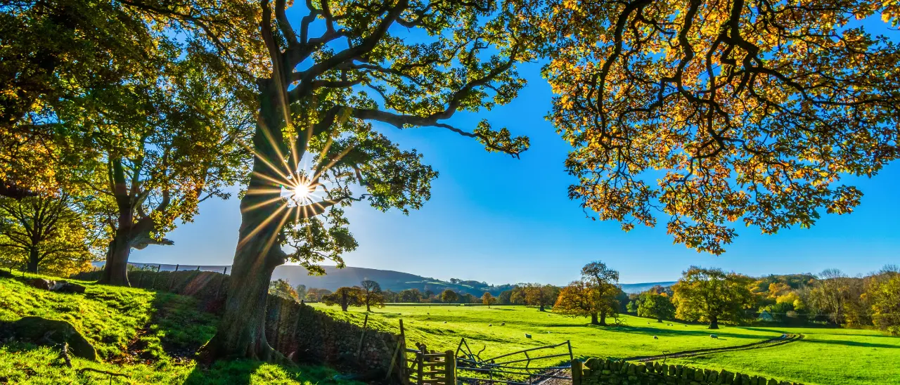 In Calabria non solo per il mare, a Pasqua presenze in crescita negli agriturismi: «Simbolo di turismo sostenibile e\u00A0motore di rinascita per borghi»\n