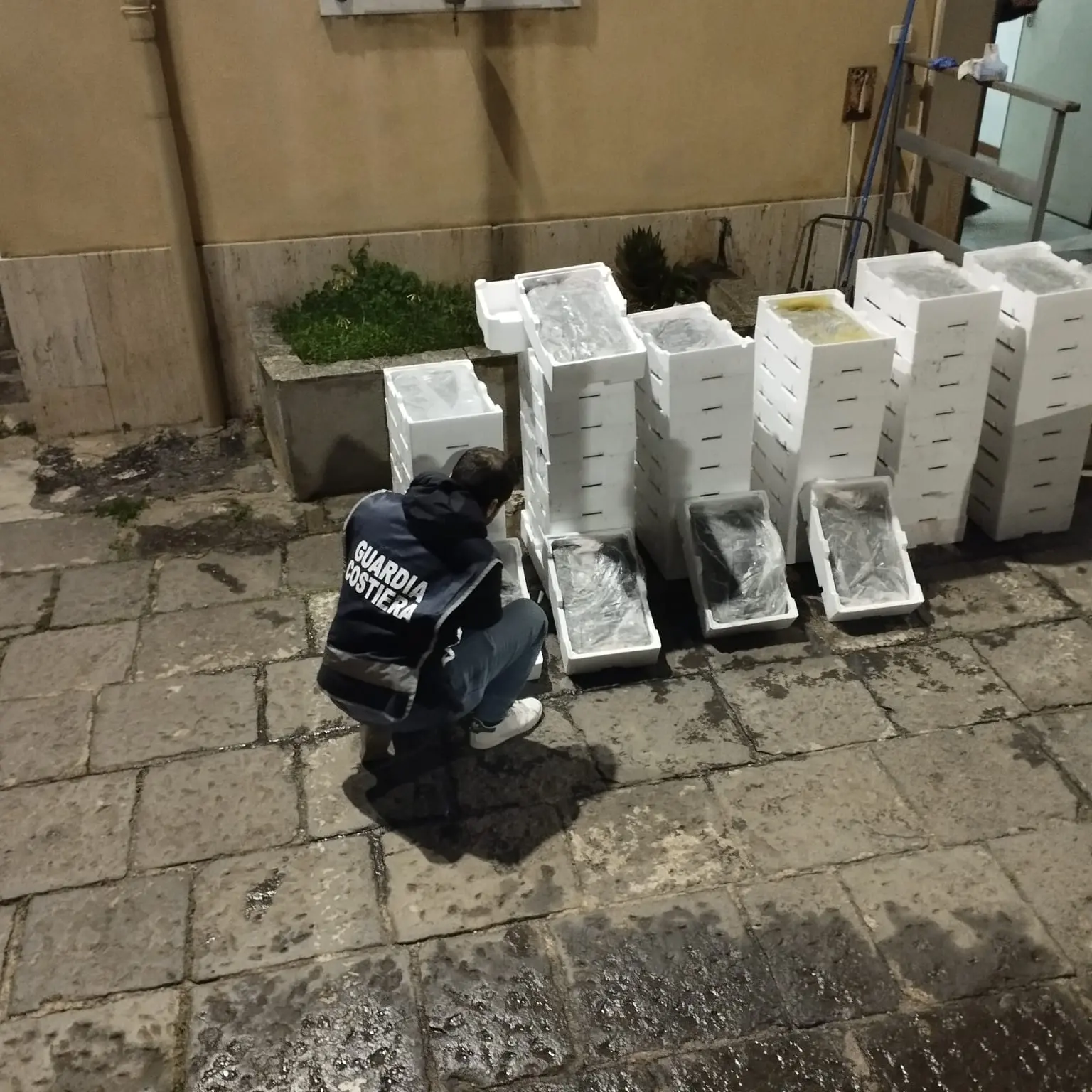 Sequestrate nel Reggino più di 4 tonnellate di novellame di sarda: sanzioni amministrative per oltre 150mila euro