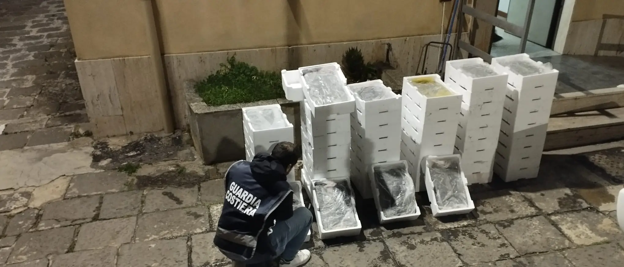 Sequestrate nel Reggino più di 4 tonnellate di novellame di sarda: sanzioni amministrative per oltre 150mila euro
