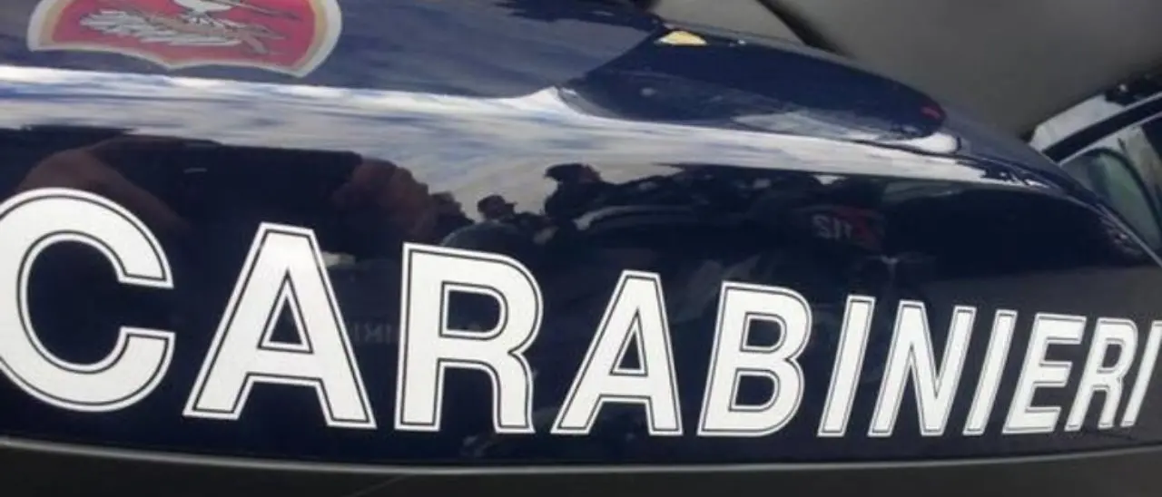 Petilia Policastro, scoperta un’autodemolizione abusiva: sequestrati più di 200 veicoli\n