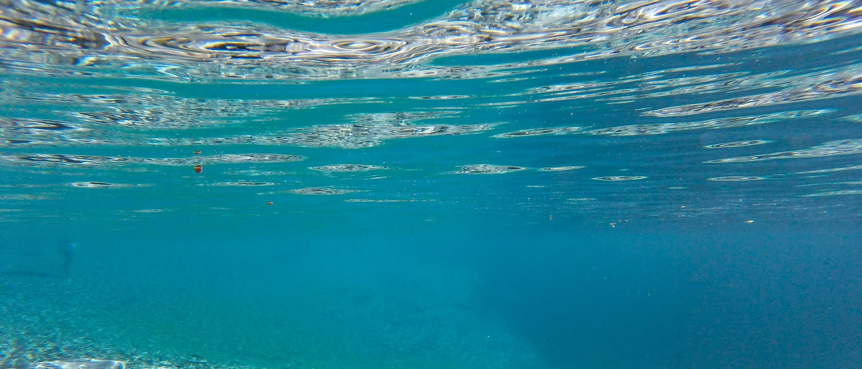 Balneazione, in Calabria aumentano le acque “eccellenti”: i dati del monitoraggio Arpacal\n