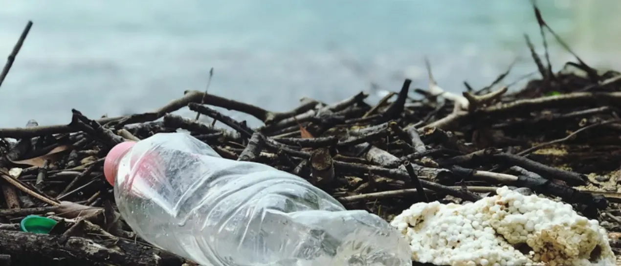 Lotta all’inquinamento, in Calabria 13 eventi green in occasione della Giornata mondiale della terra\n