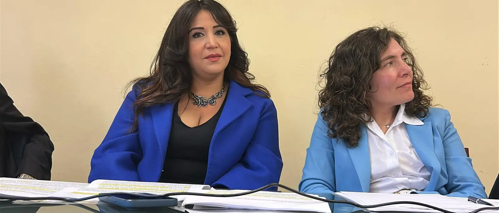 Elezioni a Rende, Rossella Gallo presenta la sua candidatura a sindaco:\u00A0«Io rappresento il centrosinistra»\n