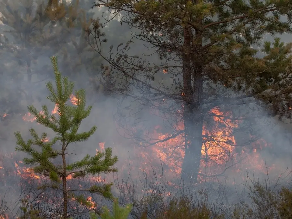 Approvato il Piano regionale per la lotta agli incendi boschivi 2025: piattaforma digitale e droni per fermare i roghi