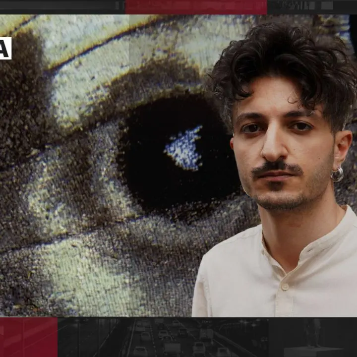 Il realismo magico di Vincenzo Reale e il festival Nuovi Tropici, focus oggi a\u00A0Dentro la Notizia\n