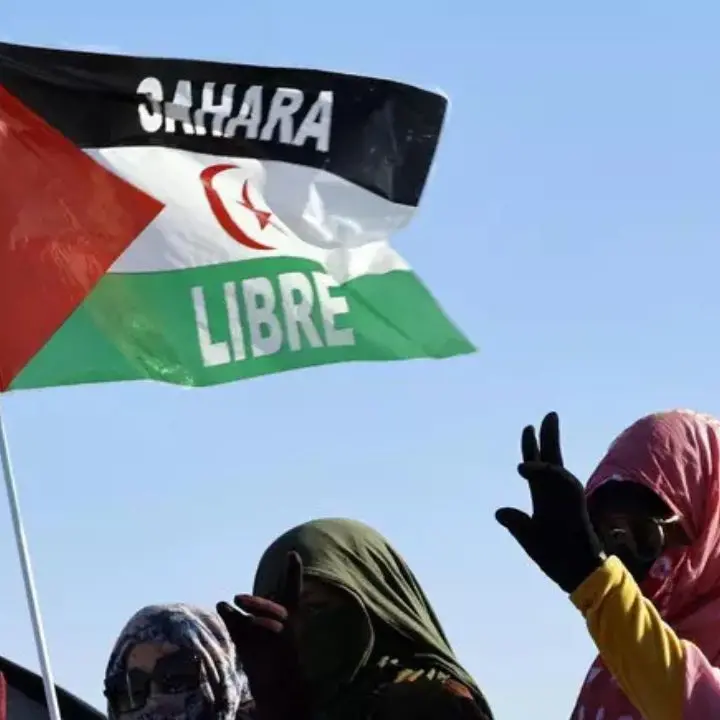 Marocco, espulsi due giornalisti italiani: volevano entrare nel Sahara occidentale\n