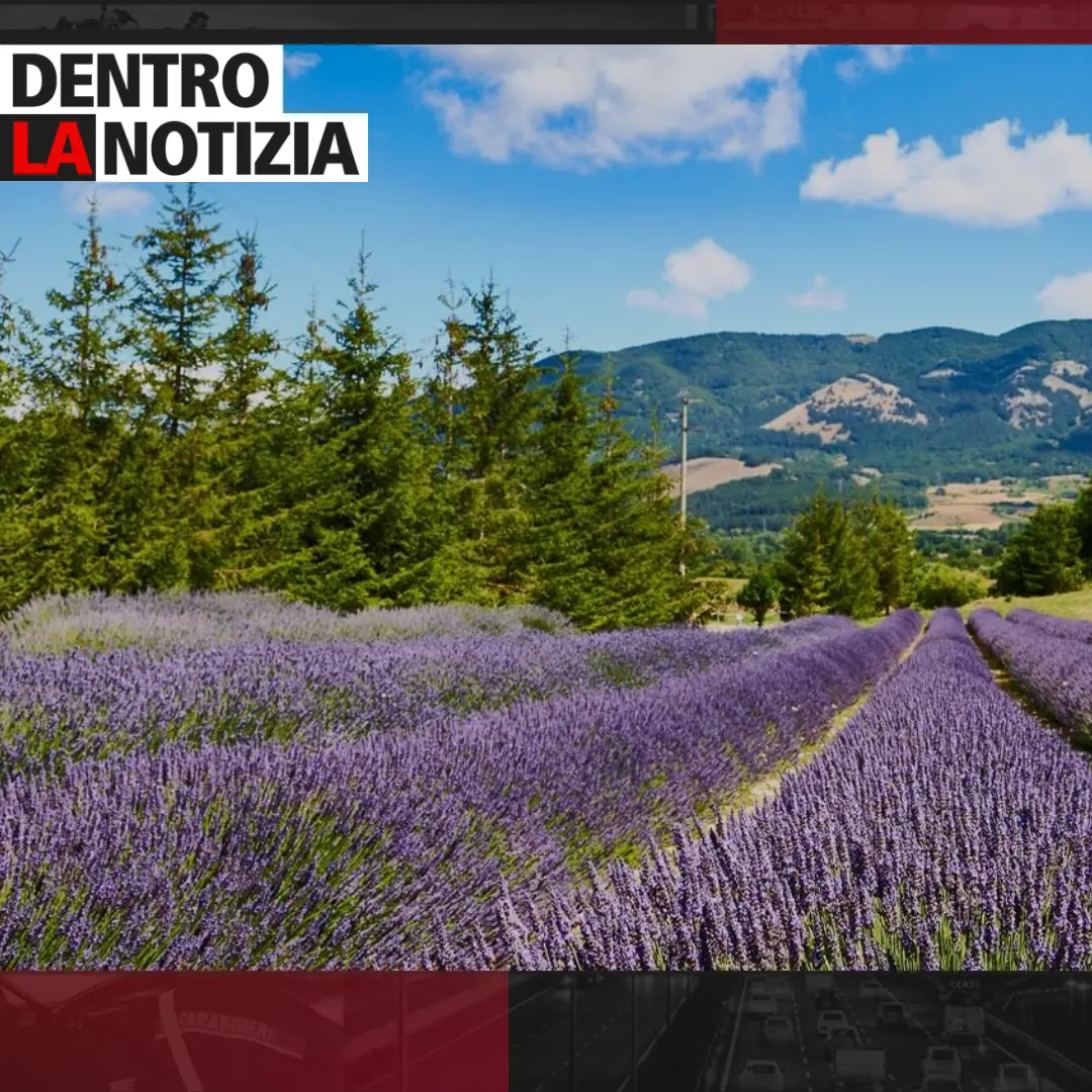 I parchi montani, Dentro la notizia accende i riflettori su una delle vere ricchezze della Calabria\n
