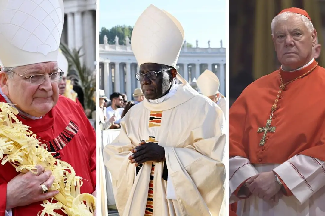I cardinali Burke, Sarah e Muller