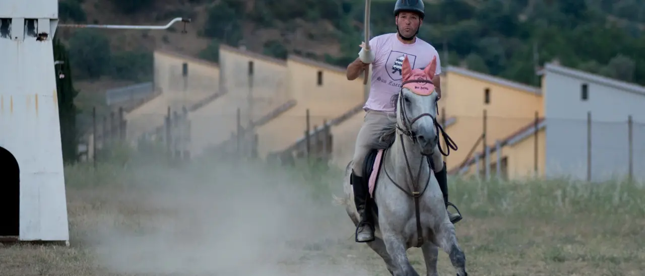 Bisignano, il Palio del Principe sarà rinviato: «Impianto non disponibile, si lavora per un’altra data»\n