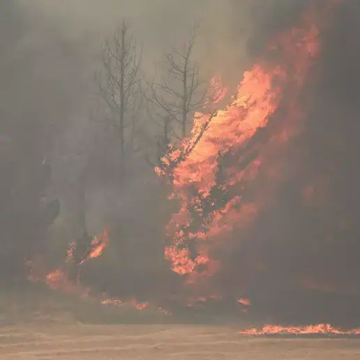 Incendi vicino a Gerusalemme, dichiarata emergenza nazionale: Hamas incita a colpire qualsiasi cosa\n