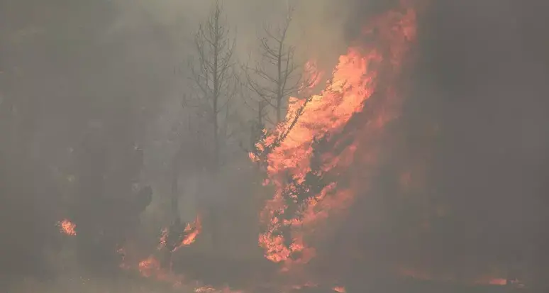 Incendi vicino a Gerusalemme, dichiarata emergenza nazionale: Hamas incita a colpire qualsiasi cosa\n