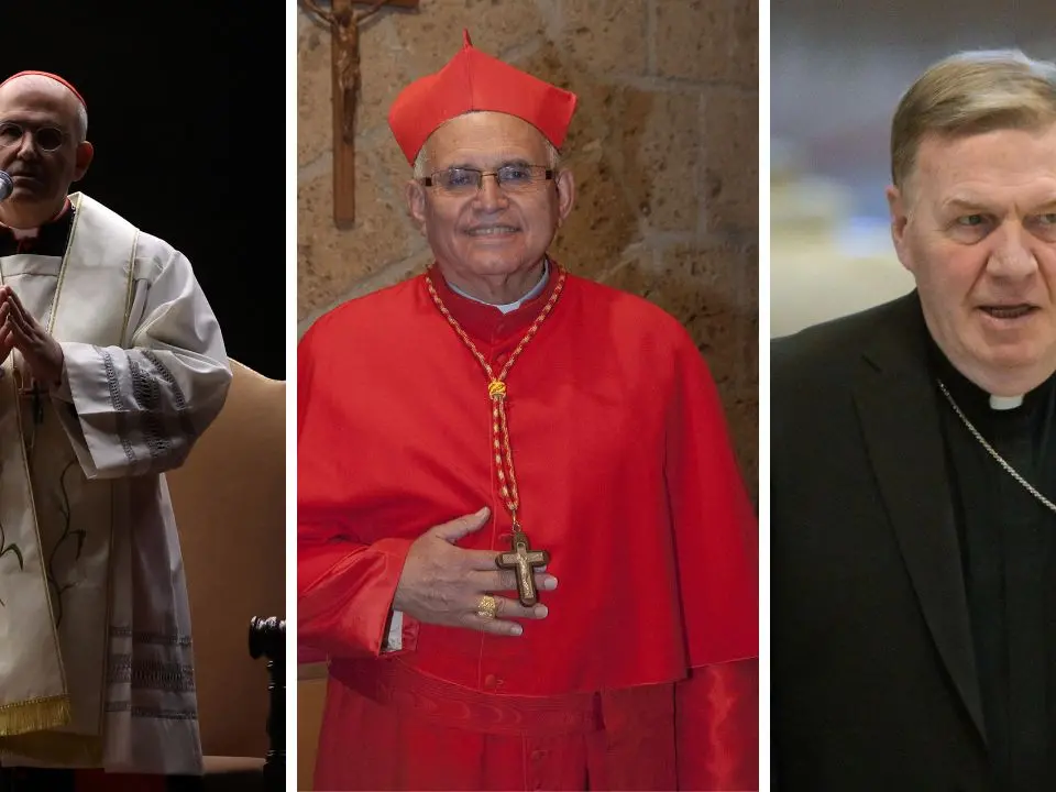 Dietro le quinte del Conclave: Imeri, de Mendonça e Tobin, ritratto e vocazione di tre outsider