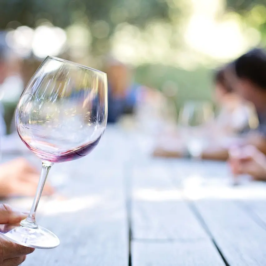 La Fivi sceglie Nicotera per celebrare “Il sabato del Vignaiolo”\n